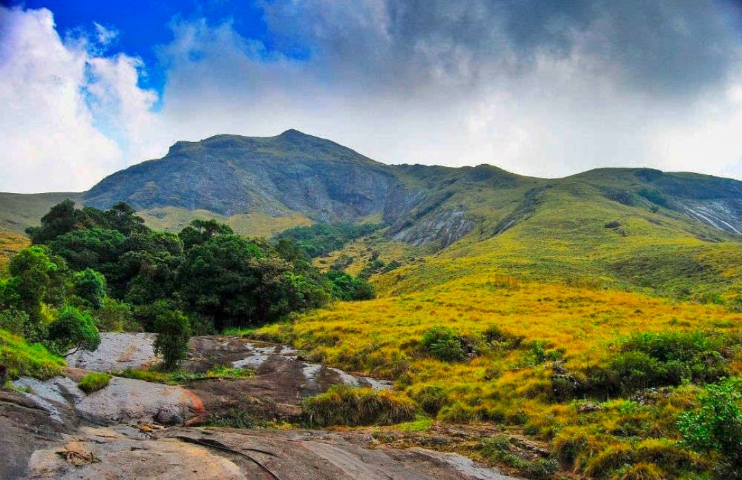 Eravikulam National Park