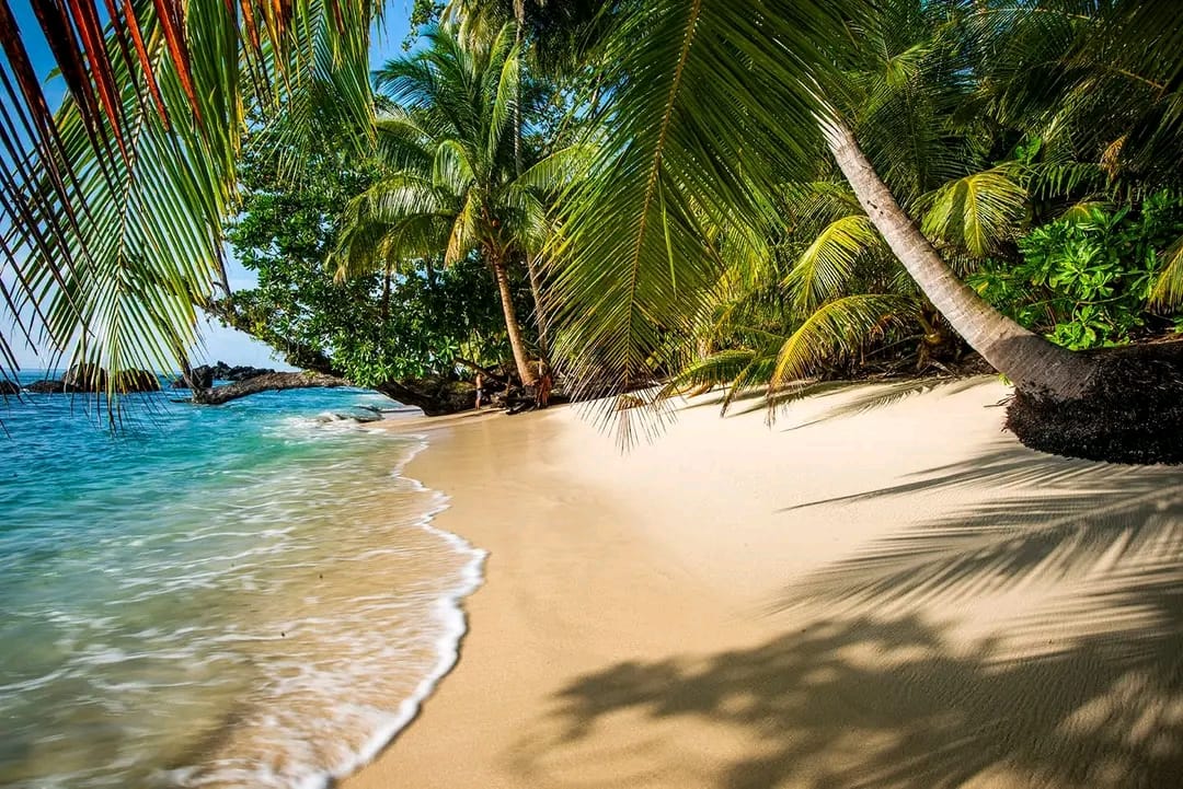 Marari Beach