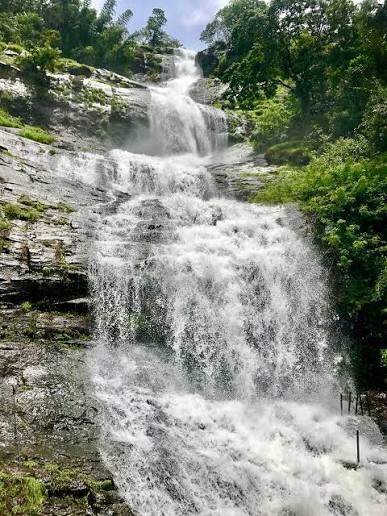 Best Time to Visit