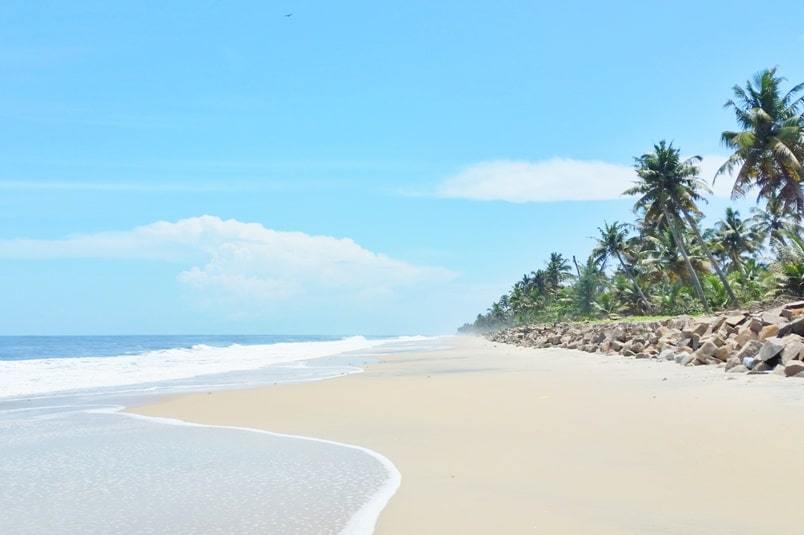 Best Time to Visit